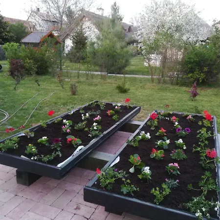 Edina Vendeghaz-gyenesdias * Денешдиаш