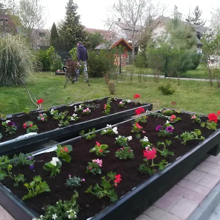 Edina Vendeghaz-gyenesdias Διαμέρισμα Gyenesdiás