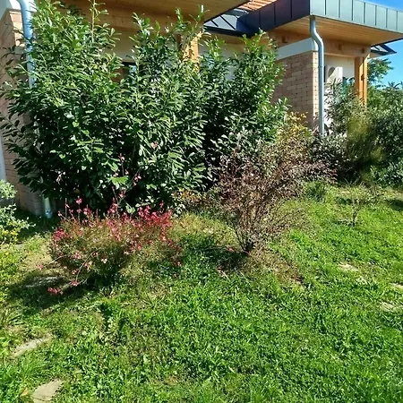 Edina Vendeghaz-gyenesdias Апартаменты *