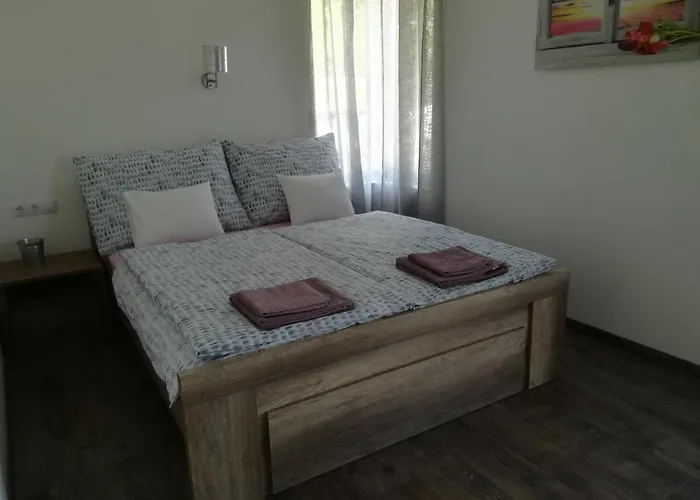 Edina Vendeghaz-gyenesdias *