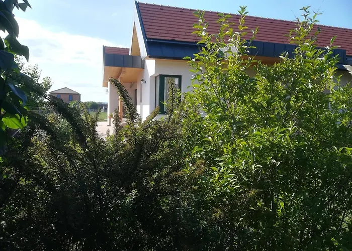 Edina Vendeghaz-gyenesdias *